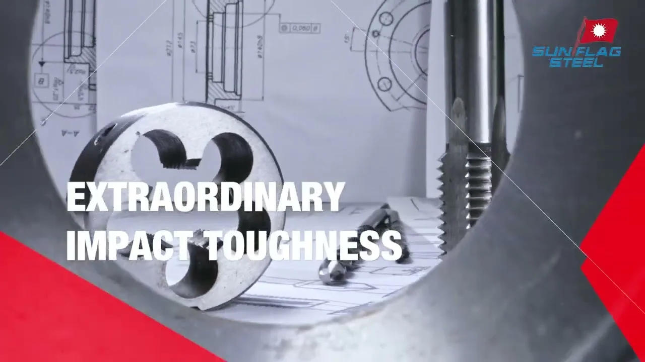 B2B Product Promo Video | Bearing Steel : Sunflag Steel