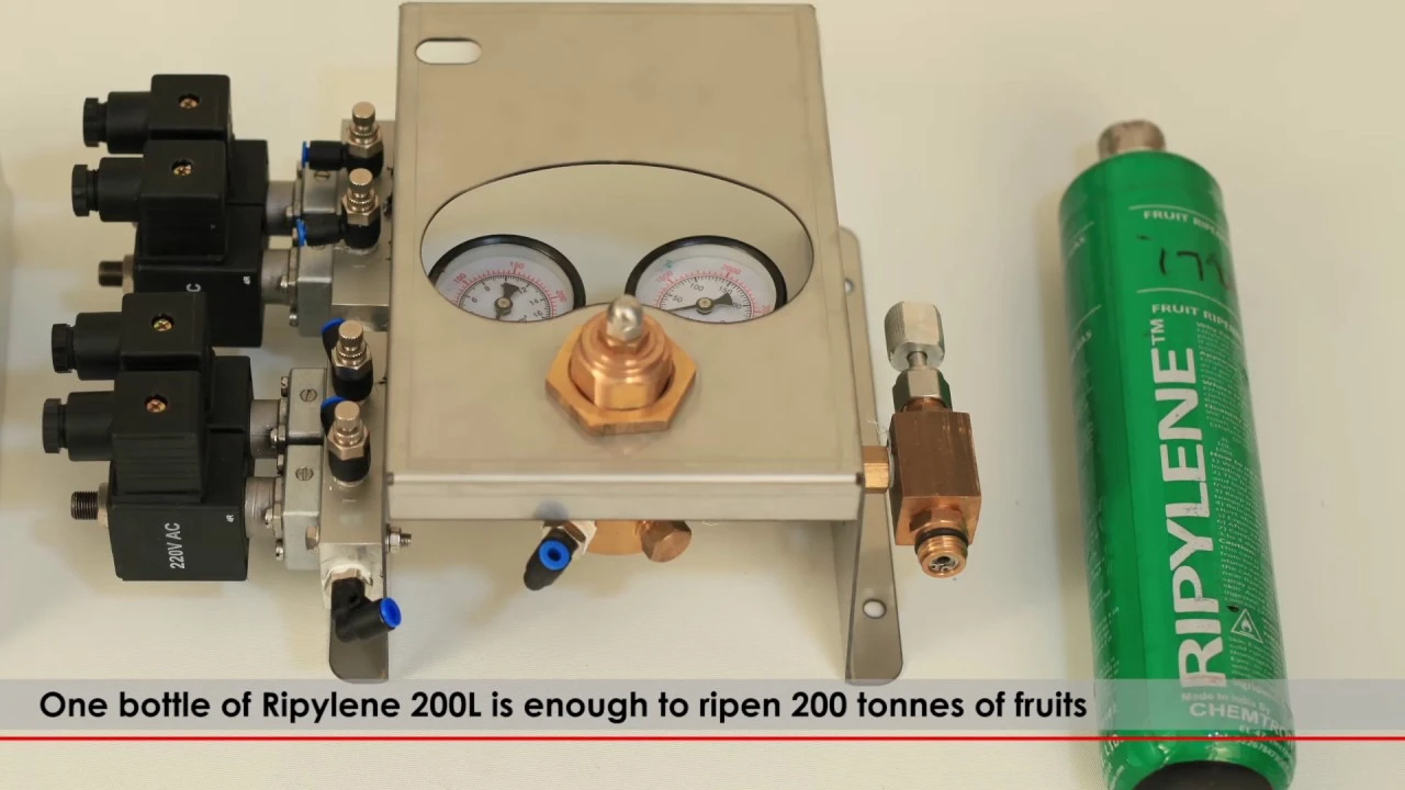 Fruitron  Automatic | Enhanced Fruit Ripening Operations: Chemtron Science Laboratories